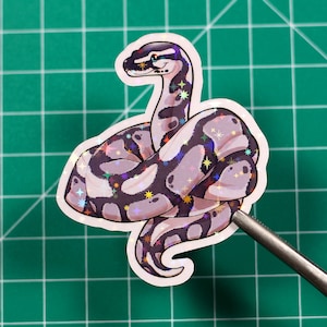 Könnte beinhalten: Ein Aufkleber mit einer hellgrauen und schwarzen Schlange mit glitzerndem, irisierendem Finish. Die Schlange ist zu einem Kreis zusammengerollt, wobei der Kopf zur rechten Seite des Aufklebers zeigt. Die Schlange hat ein schwarzes Auge mit einer blauen Pupille.