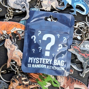 Sac mystère - Porte-clés mystère - Luckybag