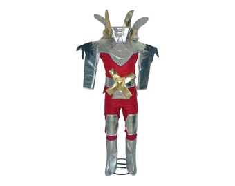 Great, Pegasus Costume, Saint Seiya Outfit, Pegasus Saint Seiya Cosplay, Pegasus Saint Seiya Look, Saint Seiya Style, For Kids, Halloween