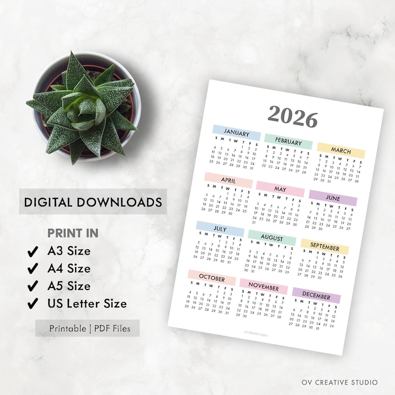 May include: A 2026 calendar with monthly layouts in pastel colors. The calendar is on a white background, with a small succulent plant in a pot in the upper left corner. Text includes "Digital Downloads" and print sizes.