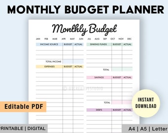 Editable Monthly Budget Tracker | Printable Budget Planner | Monthly Budget Template Download | Paycheck Budget Tracker | Digital PDF