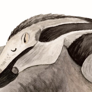 May include: A watercolor painting of a gray and black anteater with a long snout and a closed eye. The anteater is curled up on its side, with its tail tucked under its body.