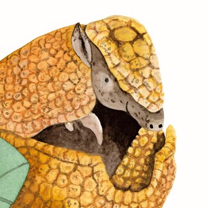 May include: A watercolor painting of a yellow and brown armadillo curled up in a ball. The armadillo has a cute, cartoon-like face and is painted in a realistic style.