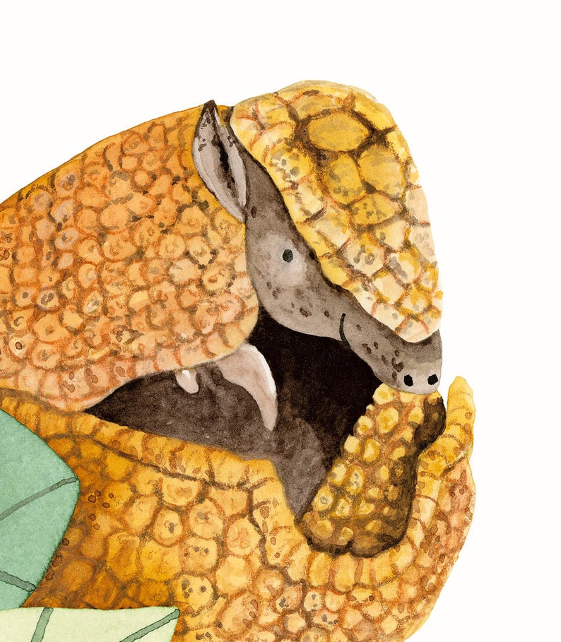 May include: A watercolor painting of a yellow and brown armadillo curled up in a ball. The armadillo has a cute, cartoon-like face and is painted in a realistic style.