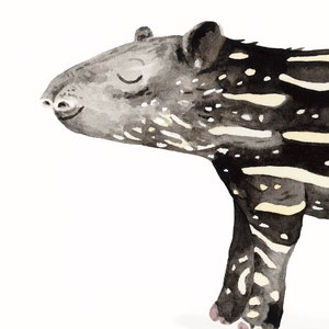 May include: Watercolor painting of a black and white striped tapir with its eyes closed. The tapir is standing on a white background.