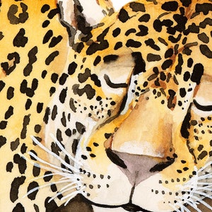 May include: A watercolor painting of a jaguar's face. The jaguar is sleeping with its eyes closed and its mouth slightly open. The fur is a mix of yellow, orange, and black.