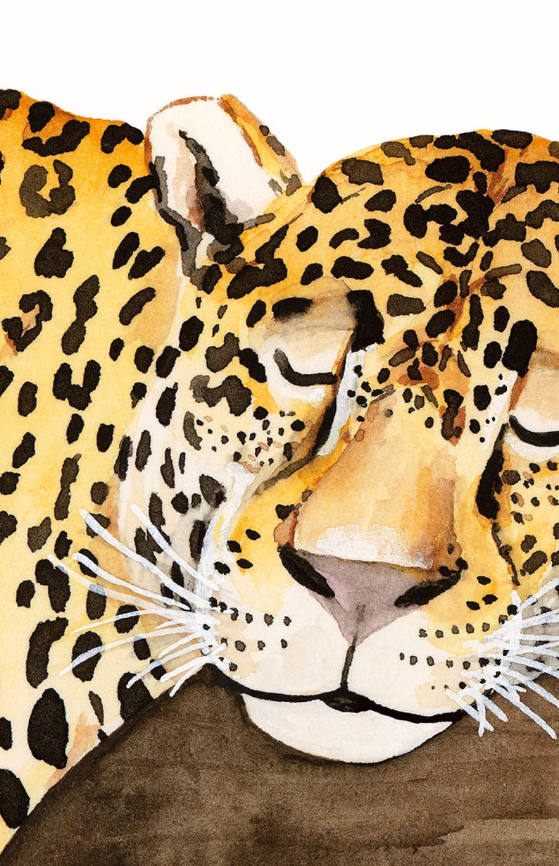 May include: A watercolor painting of a jaguar's face. The jaguar is sleeping with its eyes closed and its mouth slightly open. The fur is a mix of yellow, orange, and black.