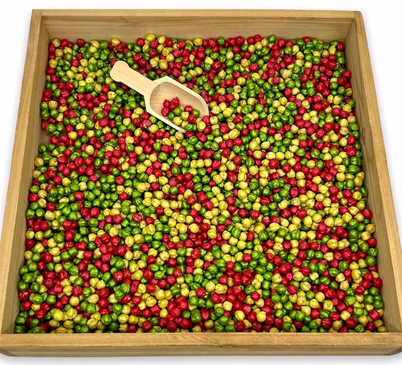 Apple Sensory Filler, Sensory Bin Filler, Colored Chick Peas, Fall