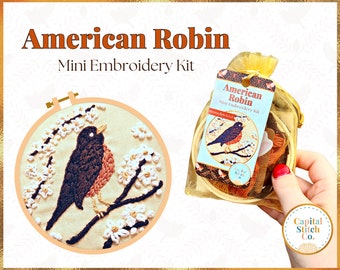 American Robin DIY mini embroidery kit Bird with tutorial guide do it yourself handmade ornament love cute gifts for her