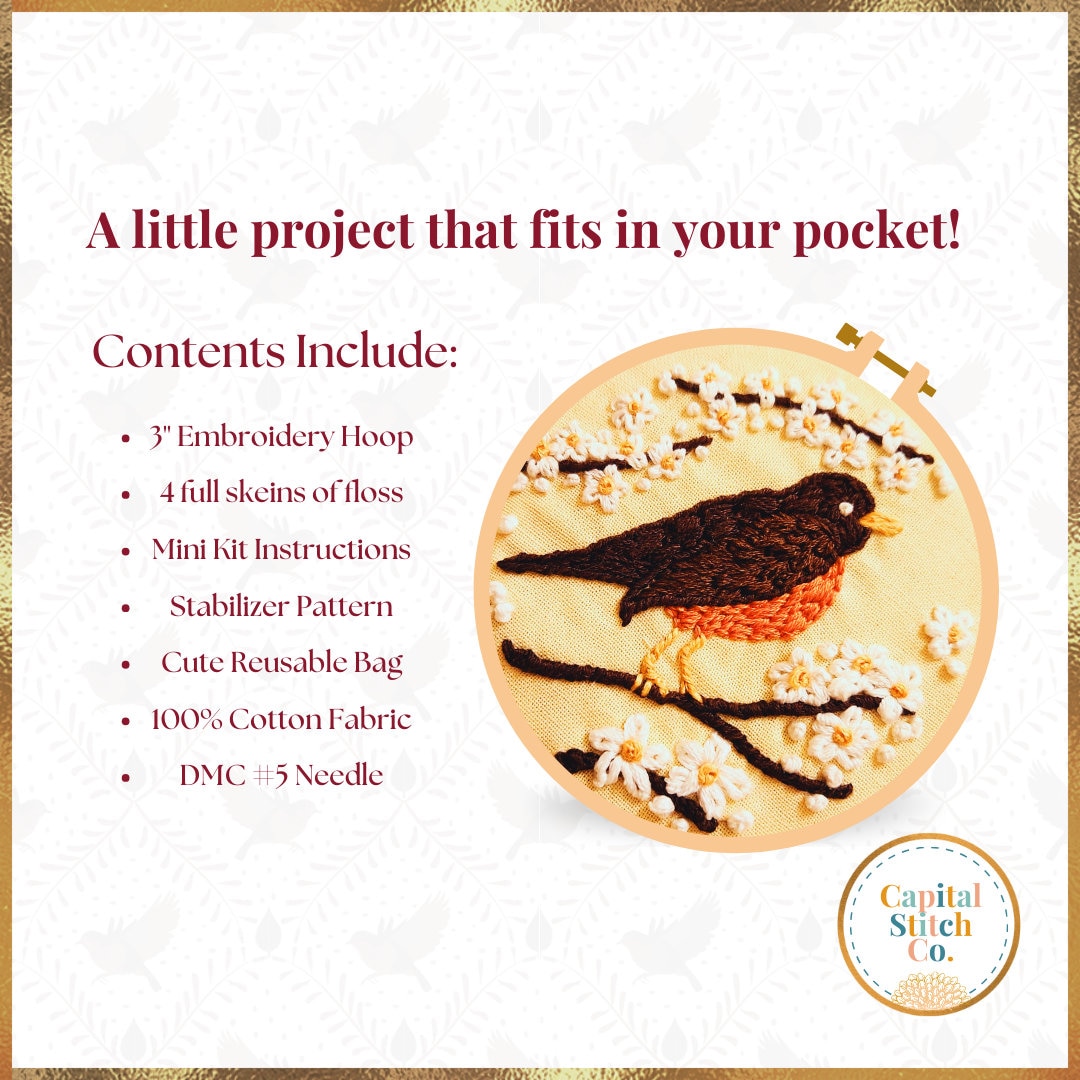 American Robin Mini Embroidery Kit: DIY Spring Bird Gift for Beginners ...