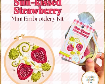 Kit de mini bordado de fresas bañadas por el sol: Regalo de verano DIY para principiantes (Hecho a mano, Producto físico)