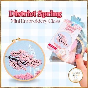 May include: A beginner embroidery kit with a pink and white floral design on a blue background. The kit includes a hoop, floss, and needle. The packaging says "District Spring Mini Embroidery Kit".
