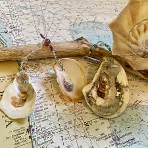 Seashell ornaments - Oyster ornaments - Beachy Christmas ornaments