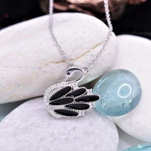 Black Swan With a Tiny Pearl Necklace, Black Swan Bird