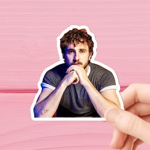 Paul Mescal Stickers, Waterproof, Glossy Vinyl Stickers, Paul Mescal Sticker Set, Paul Mescal Tumbler, Waterbottle, Thermos Stickers