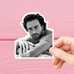 Autocollants Aaron Taylor-Johnson, autocollants en vinyle brillants imperméables, lot d'autocollants Aaron Taylor-Johnson, vinyle pour gobelet Aaron Taylor-Johnson