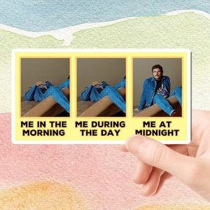 Pedro Pascal  Sticker, Funny Pedro Sticker, Laptop Decal, Fan Gift, Pedro Pascal Merchandise, Pedro Pascal Sticker Waterproof Sticker