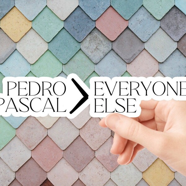 Pedro Pascal  Sticker, Laptop Decal, Fan Gift, Pedro Pascal Merchandise, Pedro Pascal Sticker, Pedro Pascal > Everyone else Sticker Sticker
