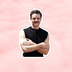 Pedro Pascal  Sticker, Laptop Decal, Fan Gift, Pedro Pascal Merchandise, Pedro Pascal Sticker Waterproof Sticker