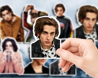 Timothée Chalamet Stickers Waterproof Sticker