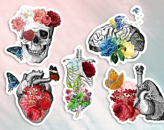 Floral Anatomy Sticker Pack, Waterproof Vinyl Stickers