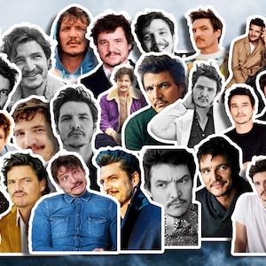 Pedro Pascal  Sticker, Laptop Decal, Fan Gift, Pedro Pascal Merchandise, Pedro Pascal Stickers Waterproof Sticker