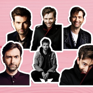 David Tennant-stickers, waterdichte, glanzende vinylstickers, David Tennant-stickerset, David Tennant-beker, waterfles, thermosflesstickers