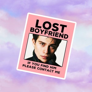 Nicholas Galitzine pegatina de novio perdido, calcomanía de computadora portátil, regalo de fan, Nicholas Galitzine Merch, vinilo Nicholas Galitzine pegatina impermeable