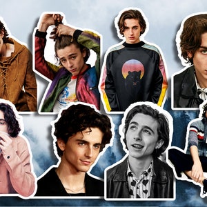 Timothée Chalamet Stickers Wasserdichter Aufkleber