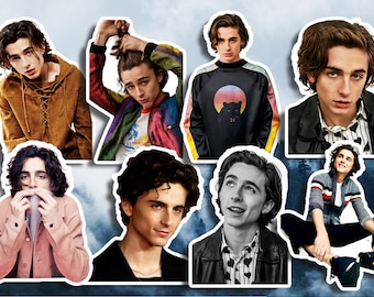 Timothée Chalamet Stickers Waterproof Sticker