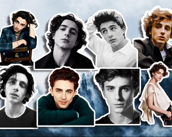 Timothée Chalamet Stickers Waterproof Sticker