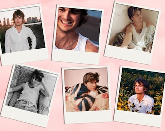 Joe Keery Sticker and Photo Set