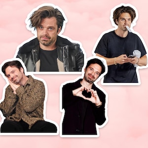 Sebastian Stan Sticker, Laptop Decal, Fan Gift, Sebastian Stan  Merchandise, Sebastian Stan  Stickers, Waterproof Stickers