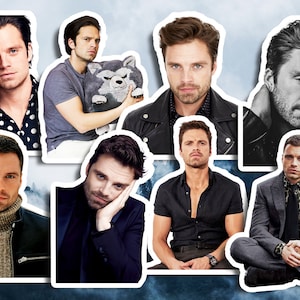 Sebastian Stan Stickers, Waterproof, Glossy Vinyl Stickers, Sebastian Stan Sticker Set, Sebastian Stan Tumbler, Waterbottle Decals