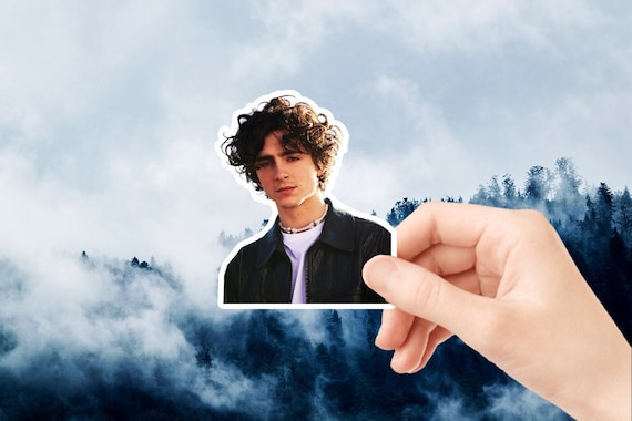 Timothée Chalamet Sticker, Waterproof Vinyl Decal