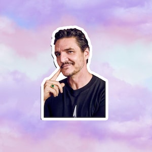 Pedro Pascal  Sticker, Laptop Decal, Fan Gift, Pedro Pascal Merchandise, Pedro Pascal Sticker Waterproof Sticker