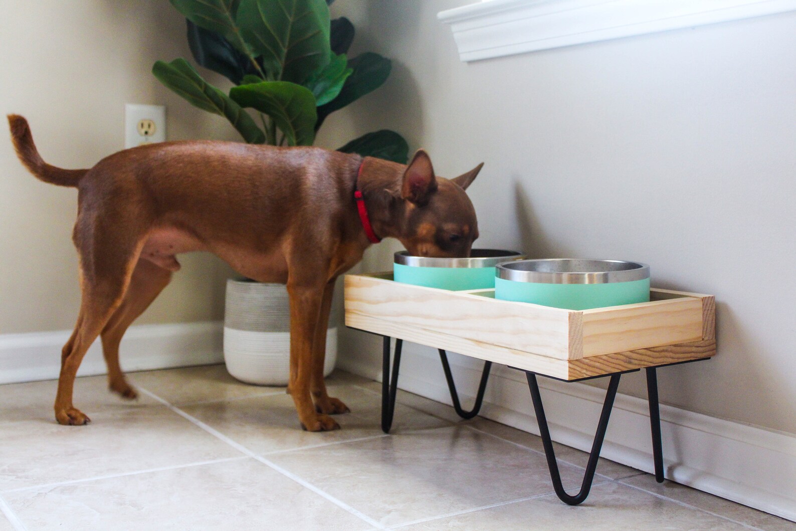 Yeti Dog Bowl Stand Elevated Pet Feeder Raised Dog Bowl | Etsy