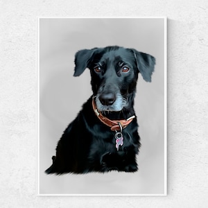 Hausportrait als Ölgemälde, Hunde Poster, Tierposter, Hundeportrait, Geschenkidee, Haustier Poster, Katzen Poster, Katzenliebhaber, Hund