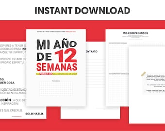12 Week Goal Planner, Fillable Work and Productivity Tracking Calendar, Organization Dashboard, Printable PDF, Instant download