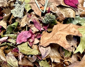 Better Than Leaf Litter