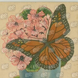 imagem digital: Borboleta Olá | da coleção de cartões postais vintage de Ella