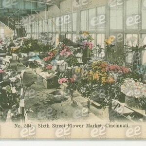 imagem digital: 6th St Flower Market | da coleção de cartões postais vintage de Ella
