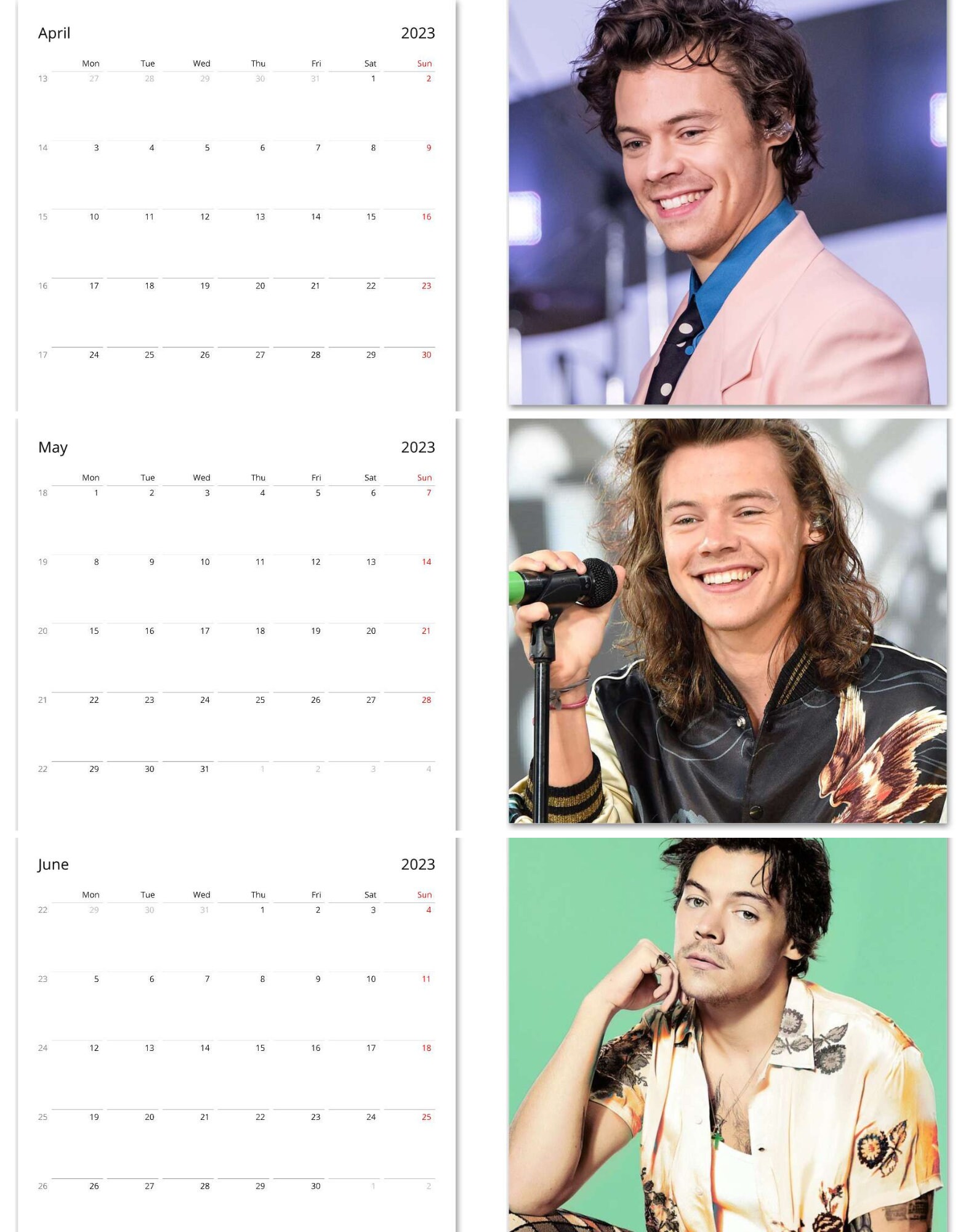2023 Harry Styles Calendar Celebrity Calendar 2023 Wall Etsy