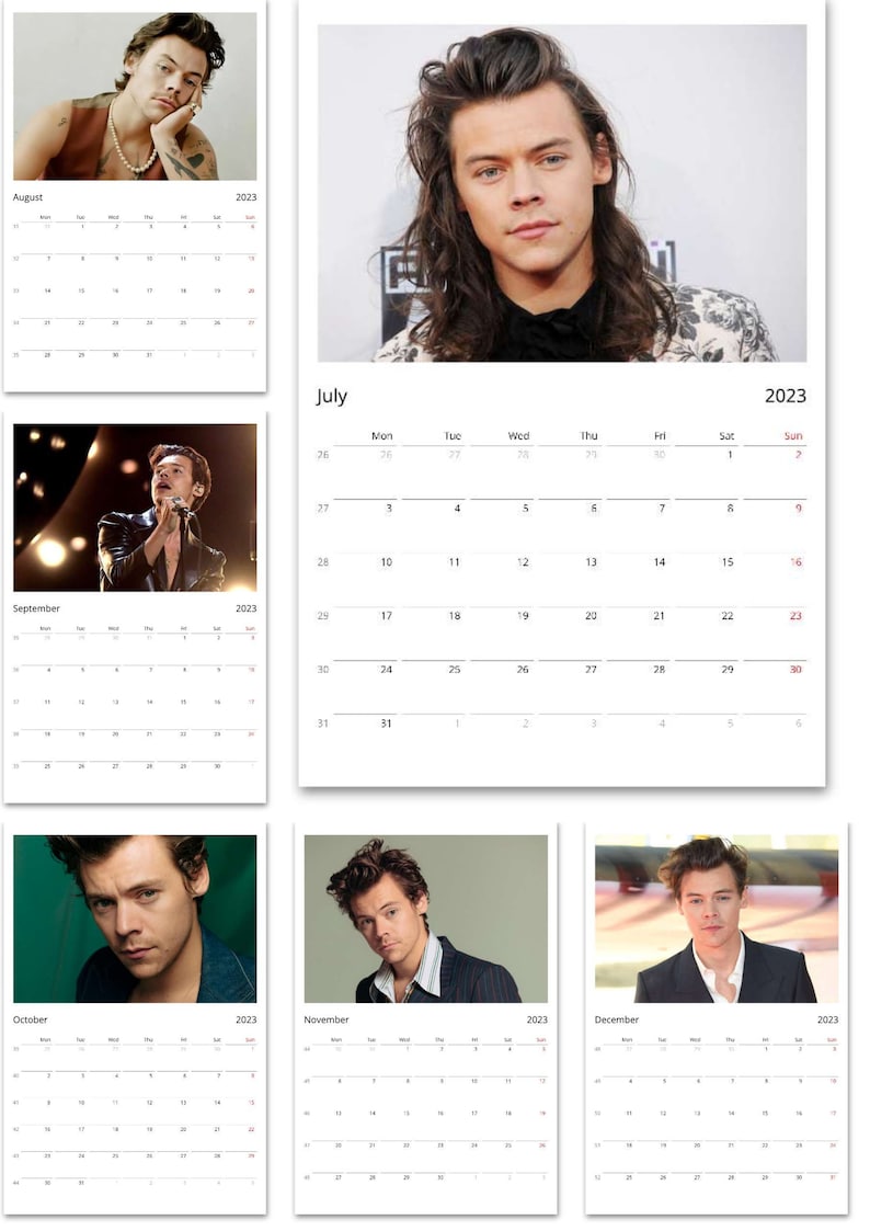 Harry Styles Calendar 2023 Love on Tour One Direction Treat Etsy