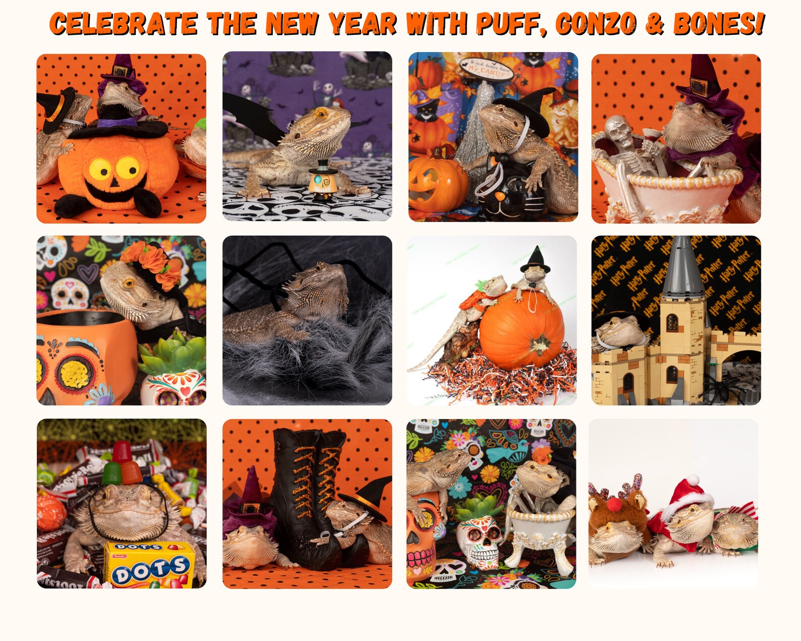 Bearded Dragon Wall Calendar 2023 Halloween Edition Etsy