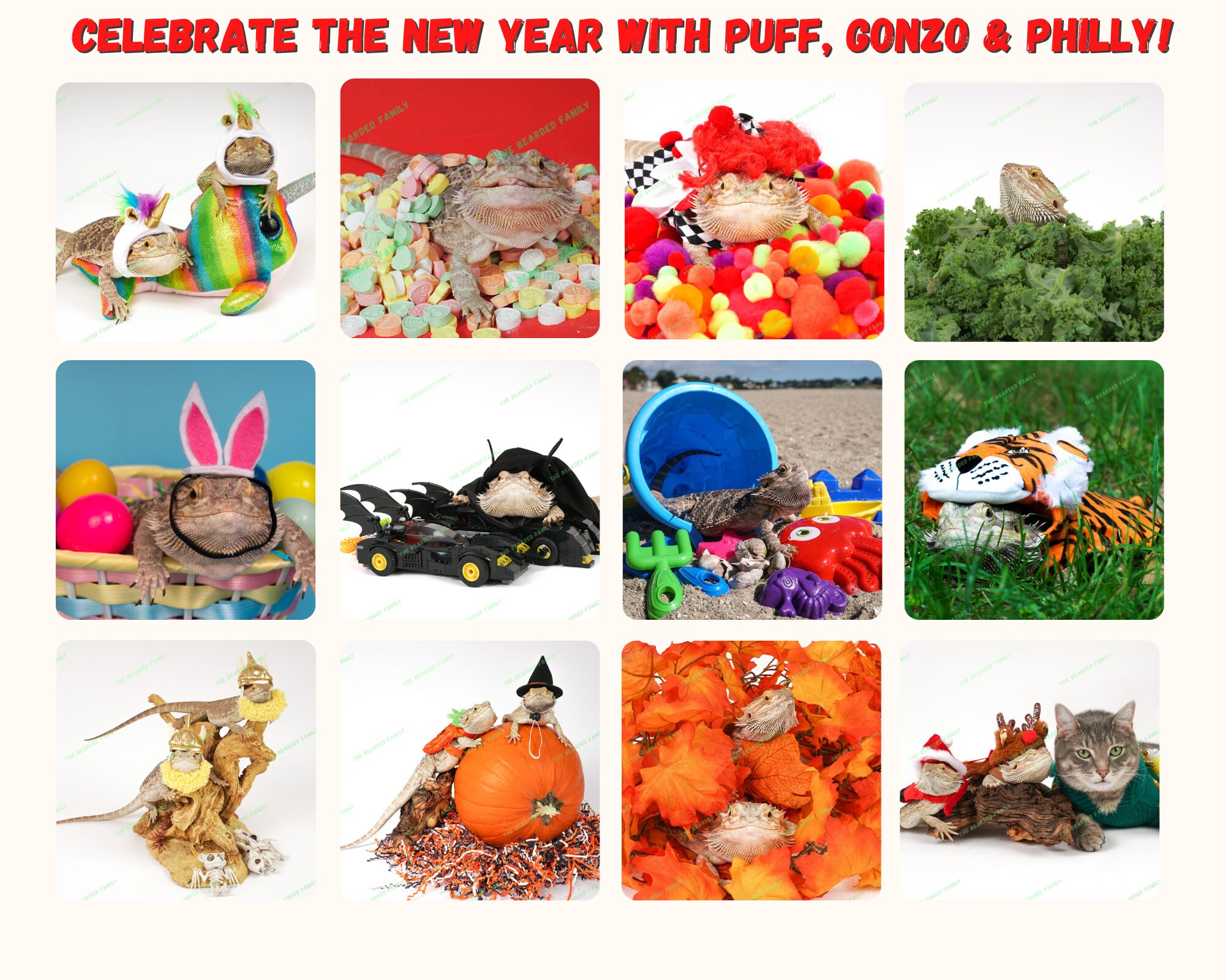 Bearded Dragon Wall Calendar 2024 Horizontal US & CAN Etsy