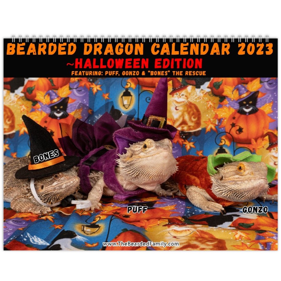 Bearded Dragon Wall Calendar 2023 Halloween Edition US & Etsy