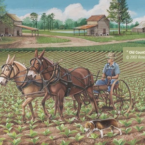 Old Country Pride //Limited Edition Art Print by the Late Artist Ronald Ragland of North Carolina // Old Country, Mule, Beagle, and Farm Art