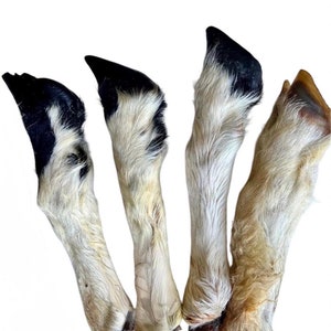 Air Dried Furry LAMB FEET Leg Bone 100% Natural Long Lasting Dog Chew Organic UK