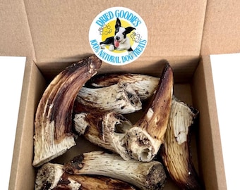 Organic Lamb Horn Marrow Dog Treat: Luxury Icelandic Chews (300g Box)